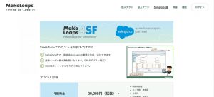 MakeLeaps for Salesforce